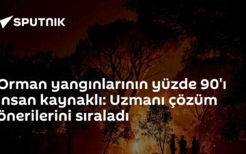 insan kaynaklı