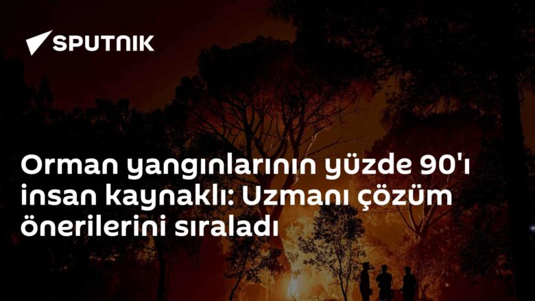 insan kaynaklı