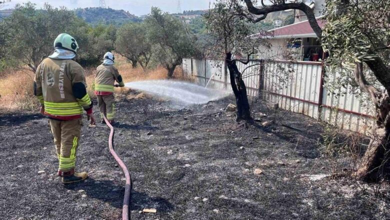 zeytinlik yangını