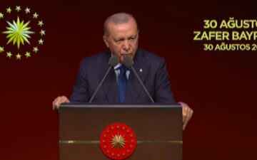 Türkiye birliği