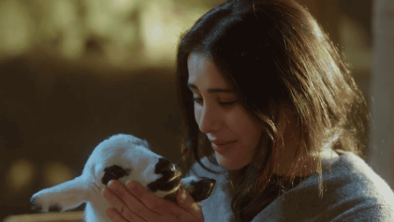 Sevdiğim Sensin Dicle Kuzusu