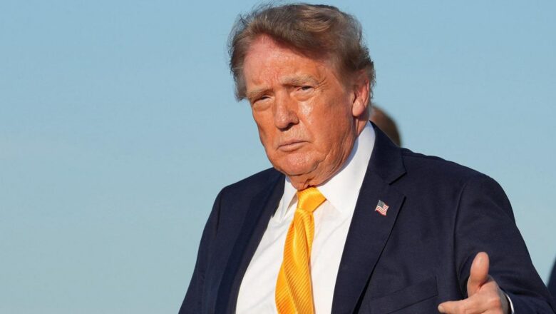Trump saç rengi