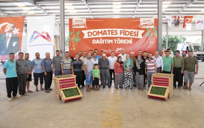 domates fidesi