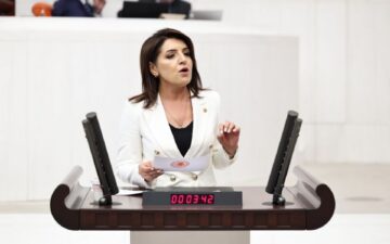 özelleştirme