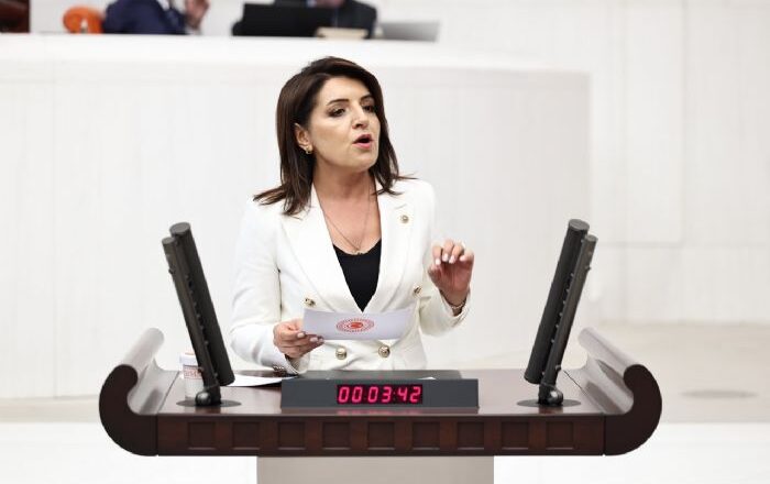 özelleştirme